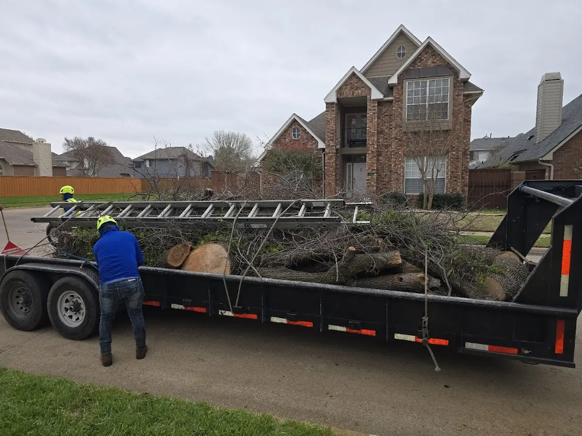Expert Tree Fertilization with proper safety equipment in Proctorville